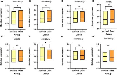 A three miRNAs panel in paraffin tissue serves as tool for predicting prognosis of renal cell carcinoma